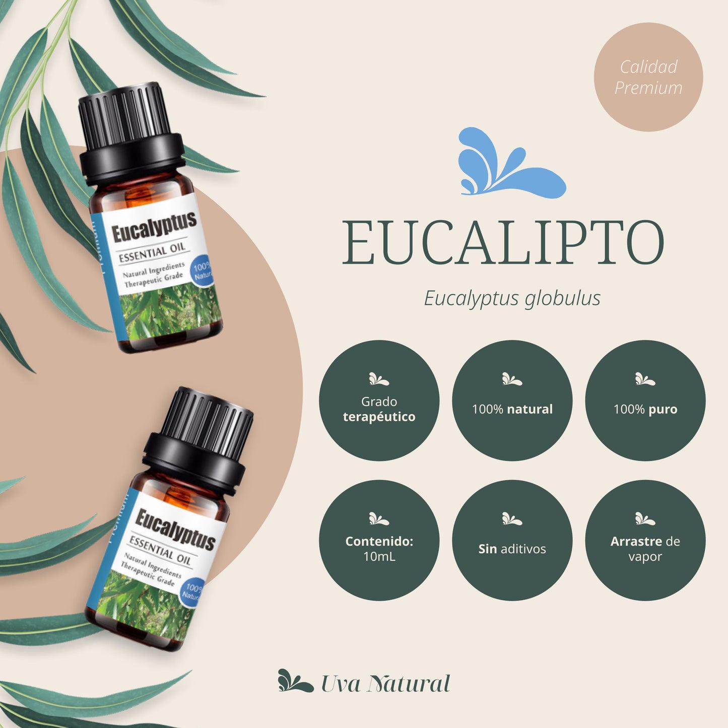 Aceite Esencial de Eucalipto