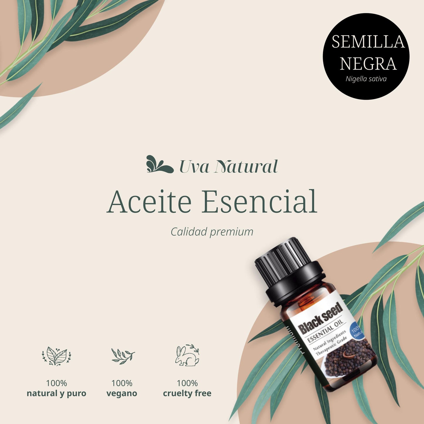 Aceite Esencial de Semilla Negra