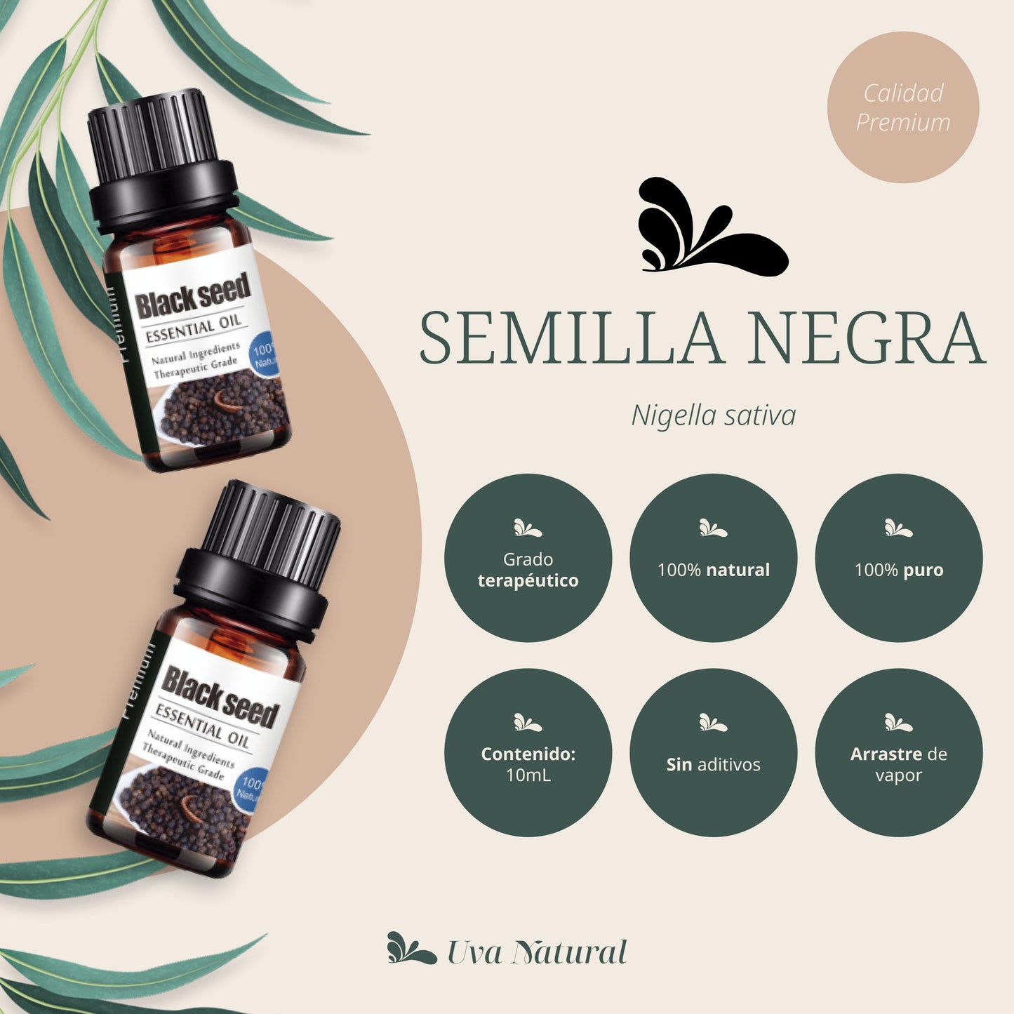 Aceite Esencial de Semilla Negra