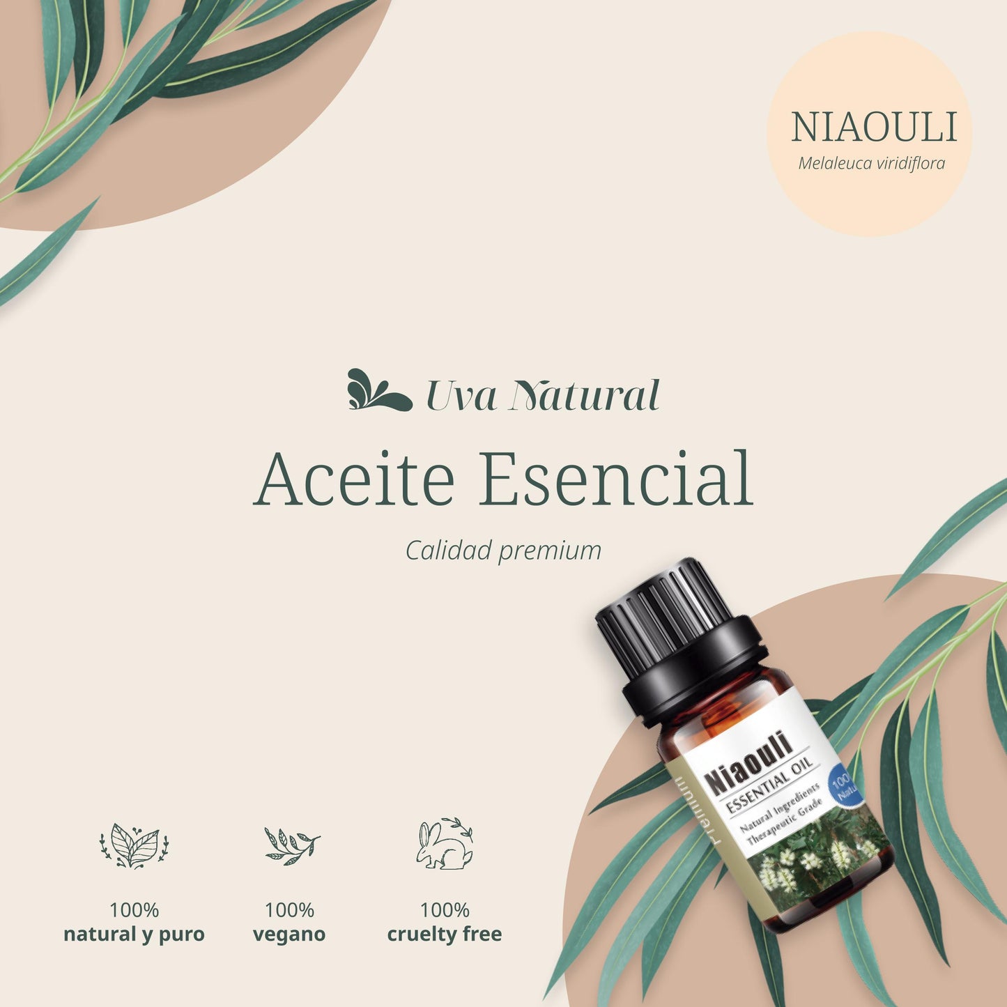 Aceite Esencial de Niaouli