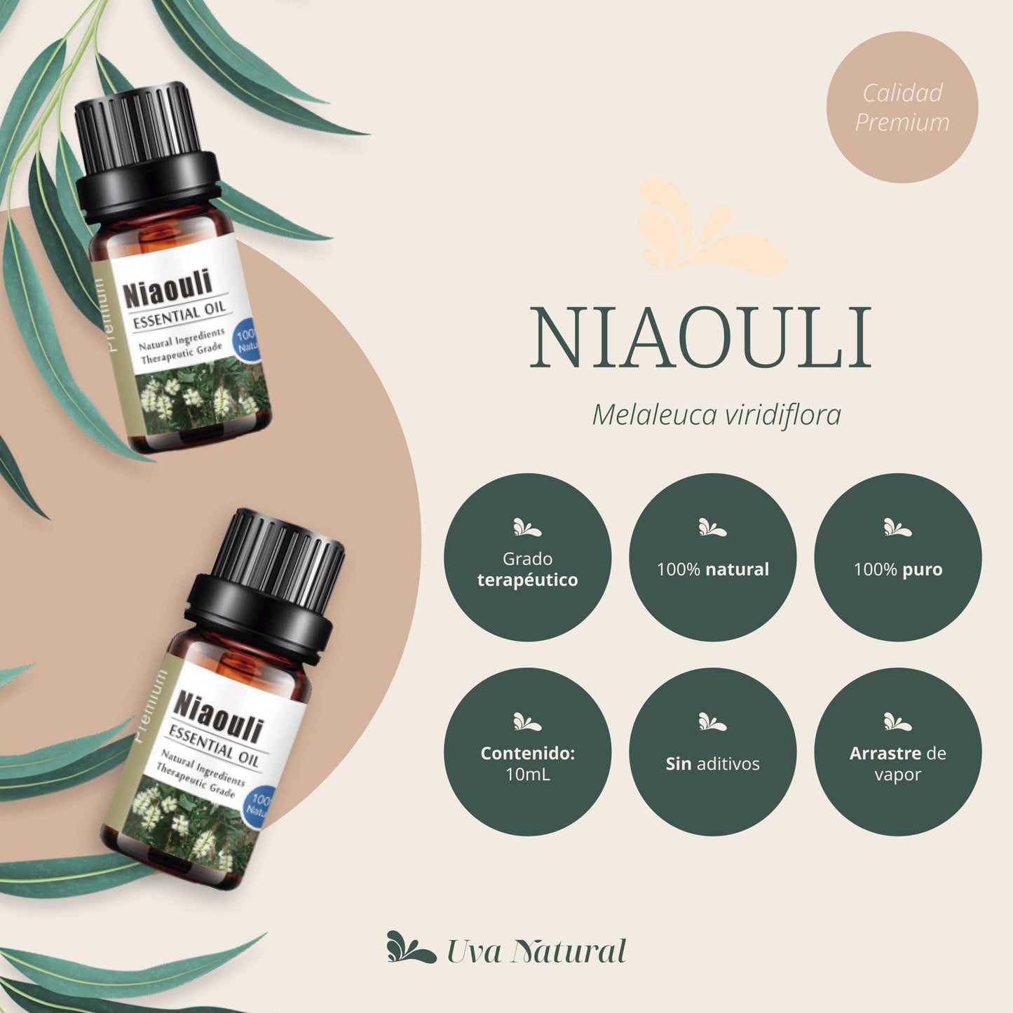 Aceite Esencial de Niaouli