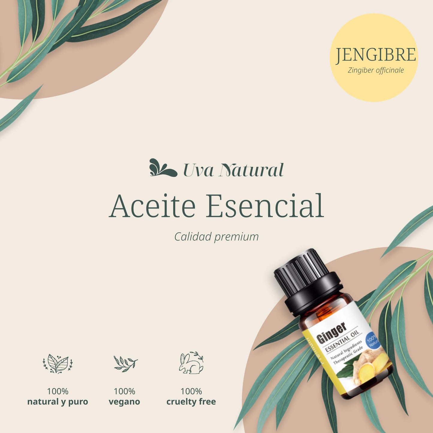 Aceite Esencial de Jengibre