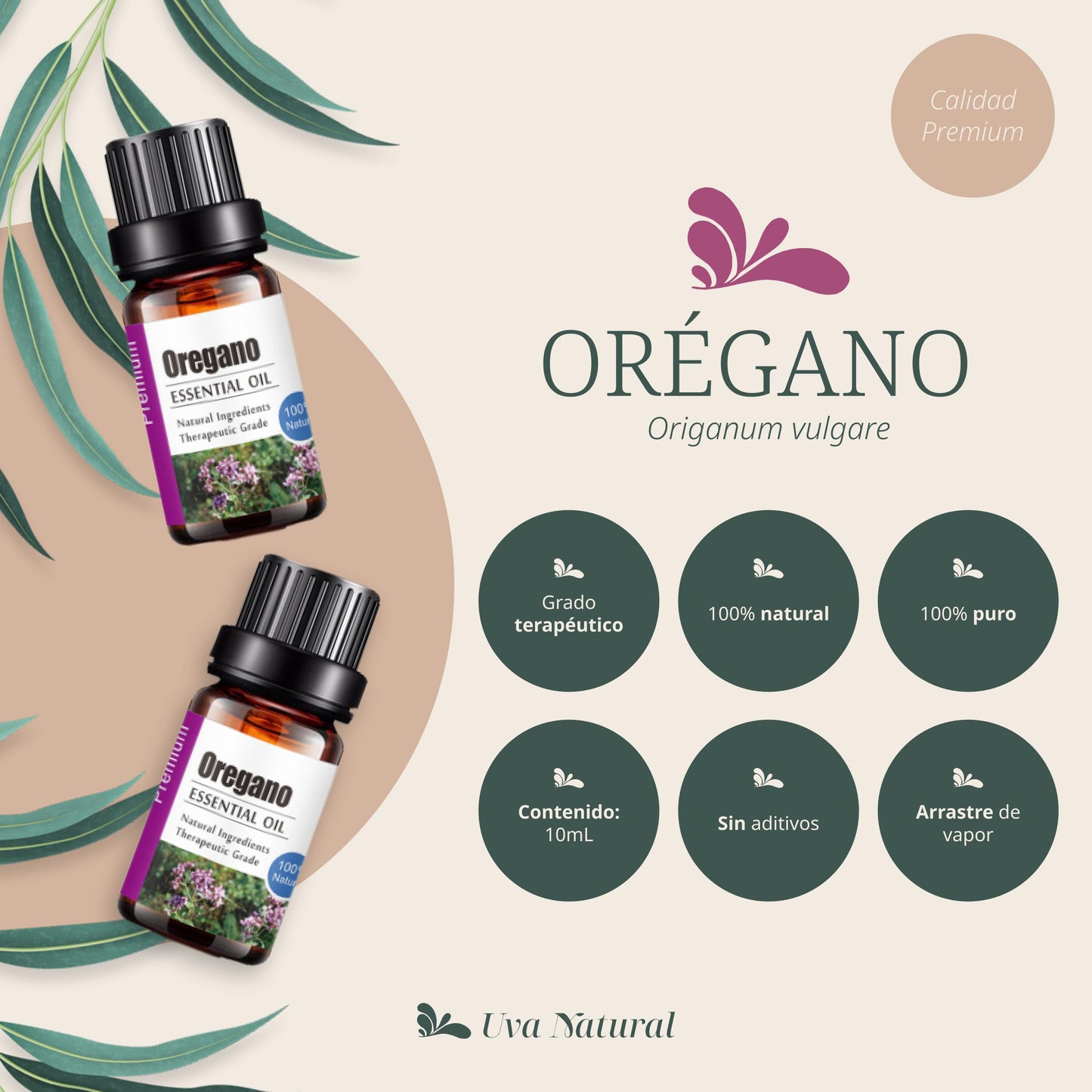 Aceite Esencial de Orégano