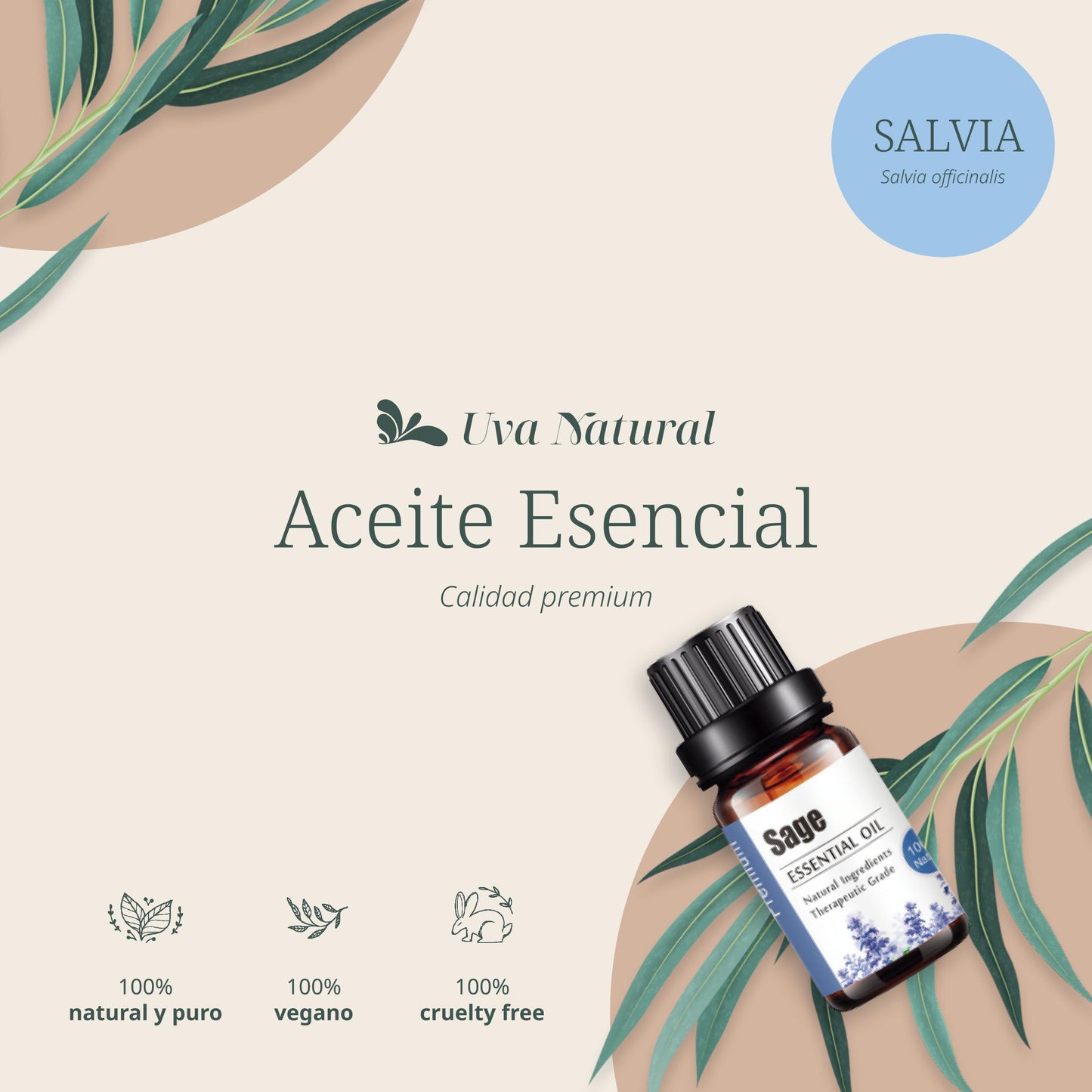 Aceite Esencial de Salvia