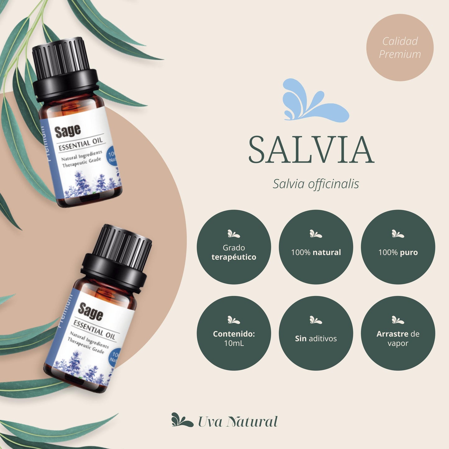 Aceite Esencial de Salvia