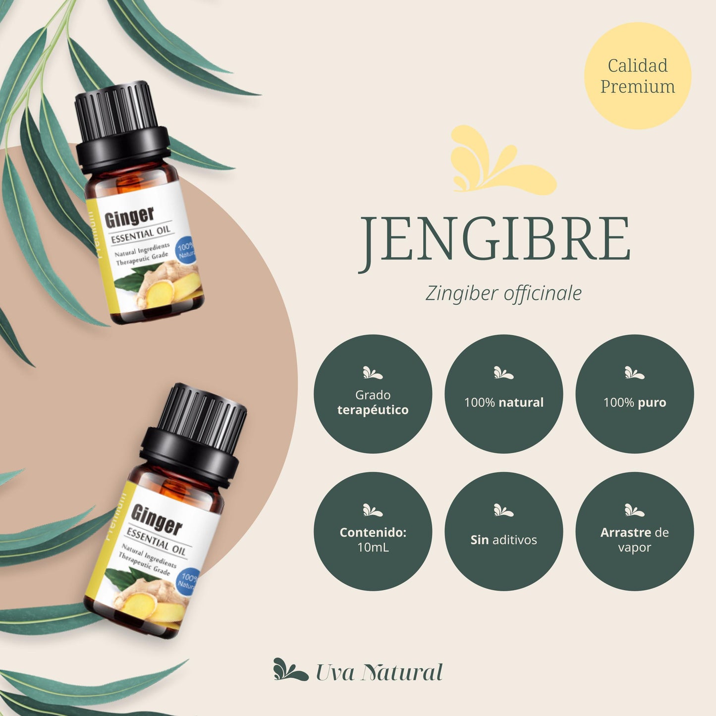 Aceite Esencial de Jengibre