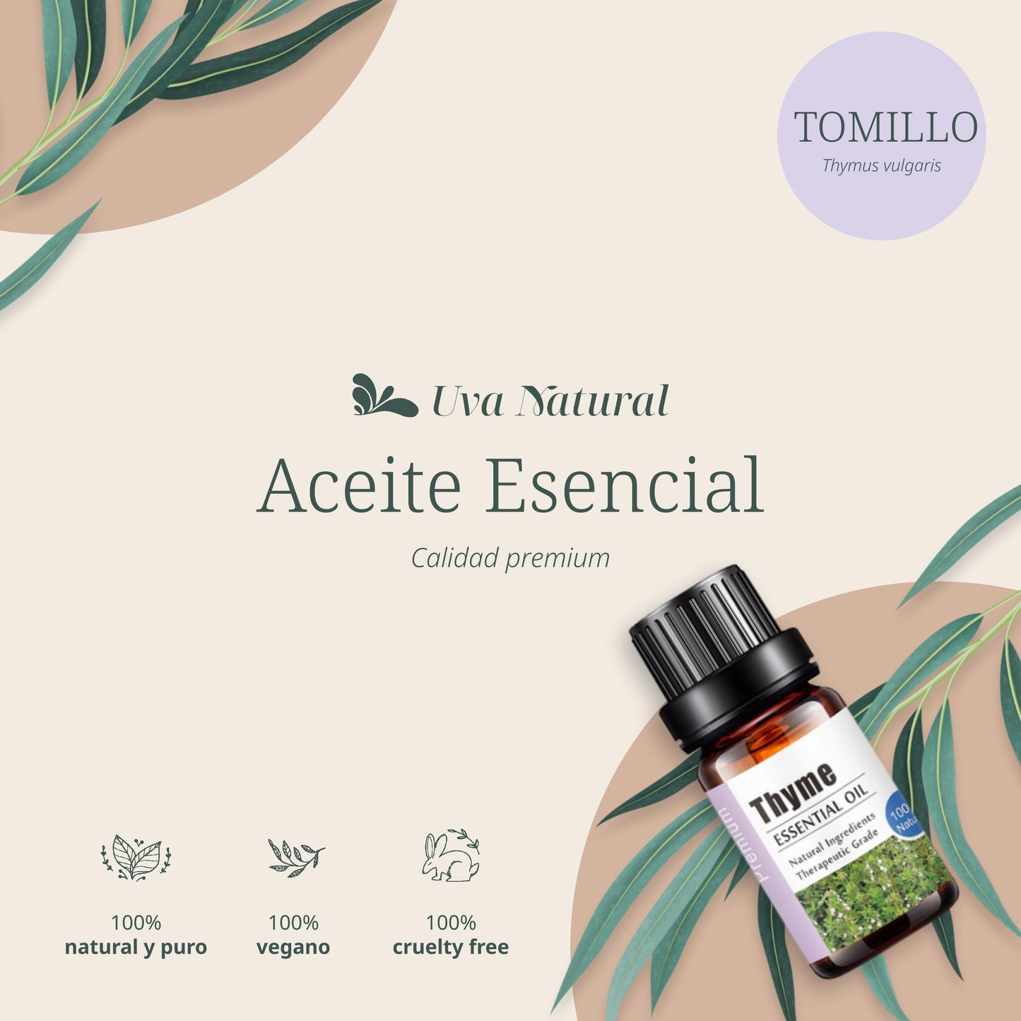 Aceite Esencial de Tomillo