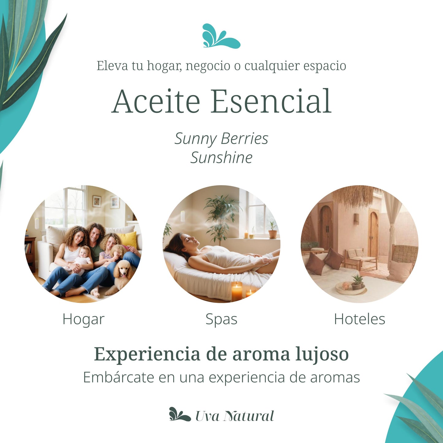 UVA NATURAL - Aceites Esenciales para Difusor de Aire Frío - Aromas de Lujo para el Hogar o Negocio - Aroma de Hotel Collection - Marketing Olfativo - Inspirado en Hoteles de Lujo (500 ml, Sunny Berries)