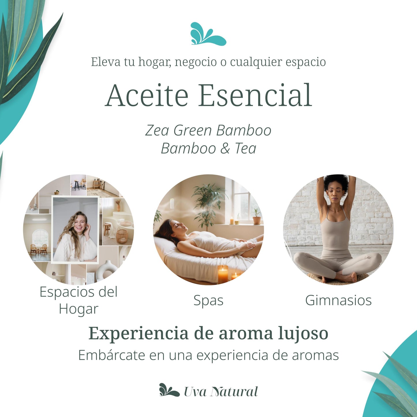 UVA NATURAL - Aceites Esenciales para Difusor de Aire Frío - Aromas de Lujo para el Hogar o Negocio - Aroma de Hotel Collection - Marketing Olfativo - Inspirado en Hoteles de Lujo (500 ml, Zea Green Bamboo)