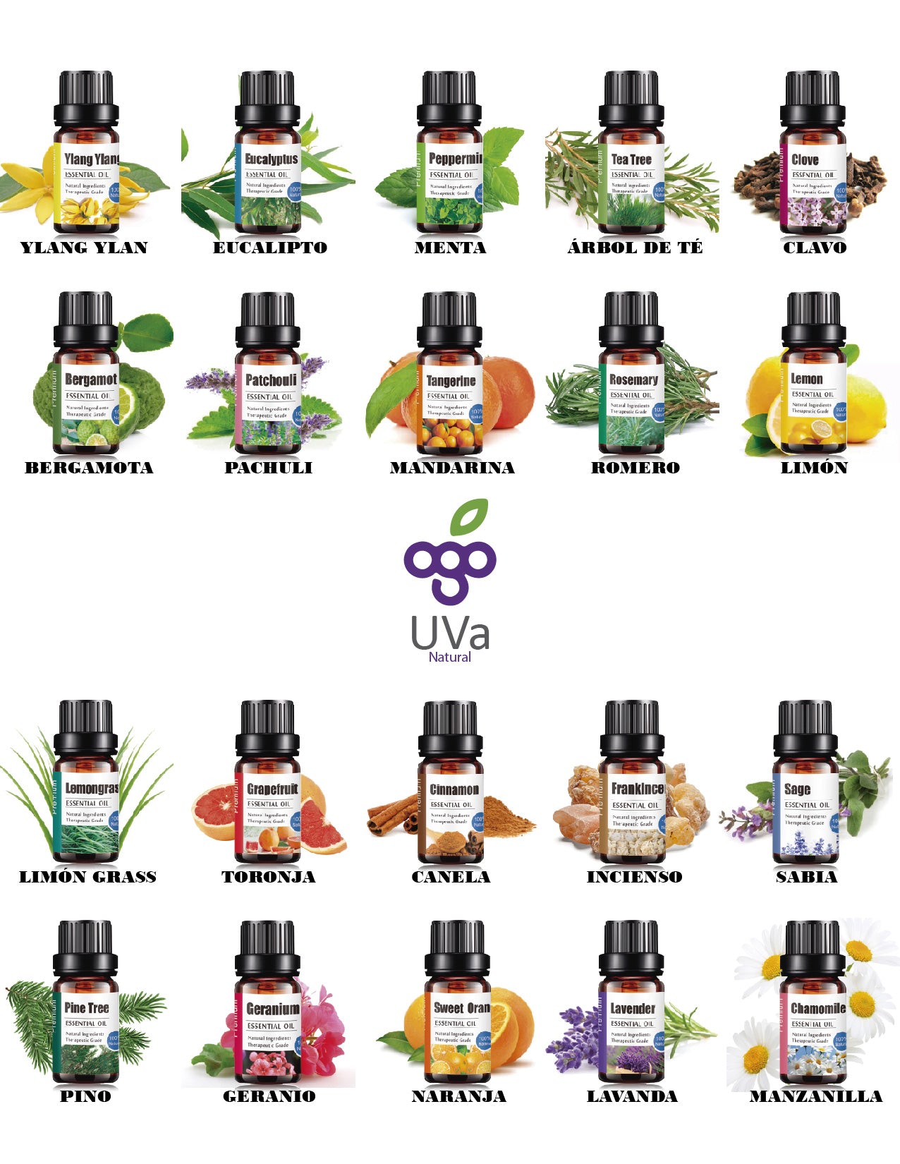 Kit de 20 Aceites Esenciales