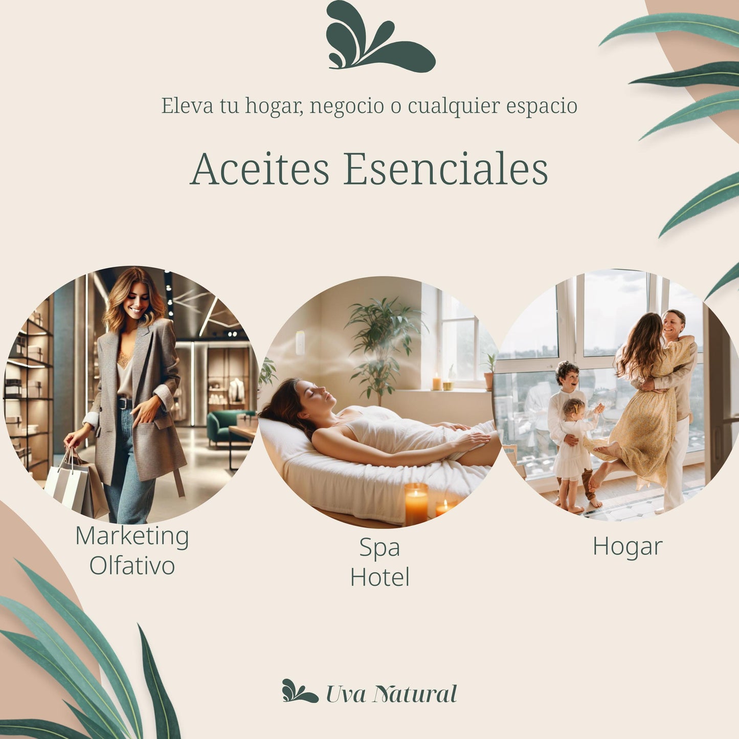 UVA NATURAL - Aceites Esenciales para Difusor de Aire Frío - Aromas de Lujo para el Hogar o Negocio - Aroma de Hotel Collection - Marketing Olfativo - Inspirado en Hoteles de Lujo (500 ml, Zea Green Bamboo)