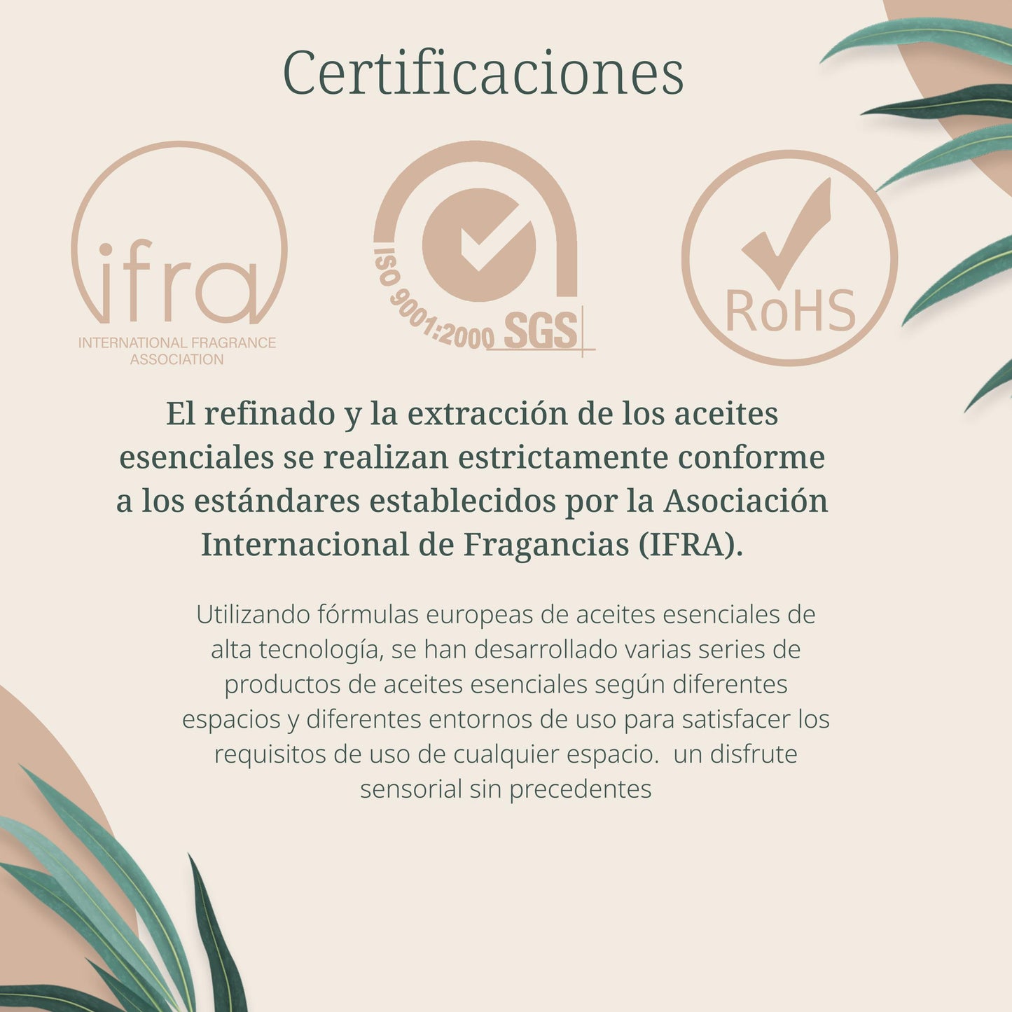 UVA NATURAL - Aceites Esenciales para Difusor de Aire Frío - Aromas de Lujo para el Hogar o Negocio - Aroma de Hotel Collection - Marketing Olfativo - Inspirado en Hoteles de Lujo (500 ml, Zea Green Bamboo)